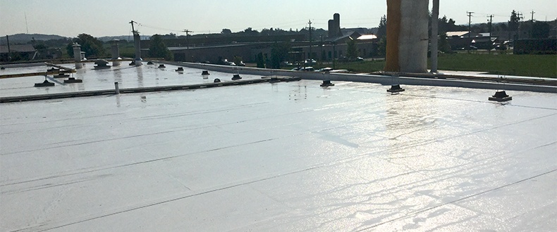 AUGUST - GuestBlog - FiberTite - Preparation is key with tropical storms