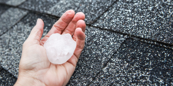 MetalTalk Building resilience with proactive weather protection