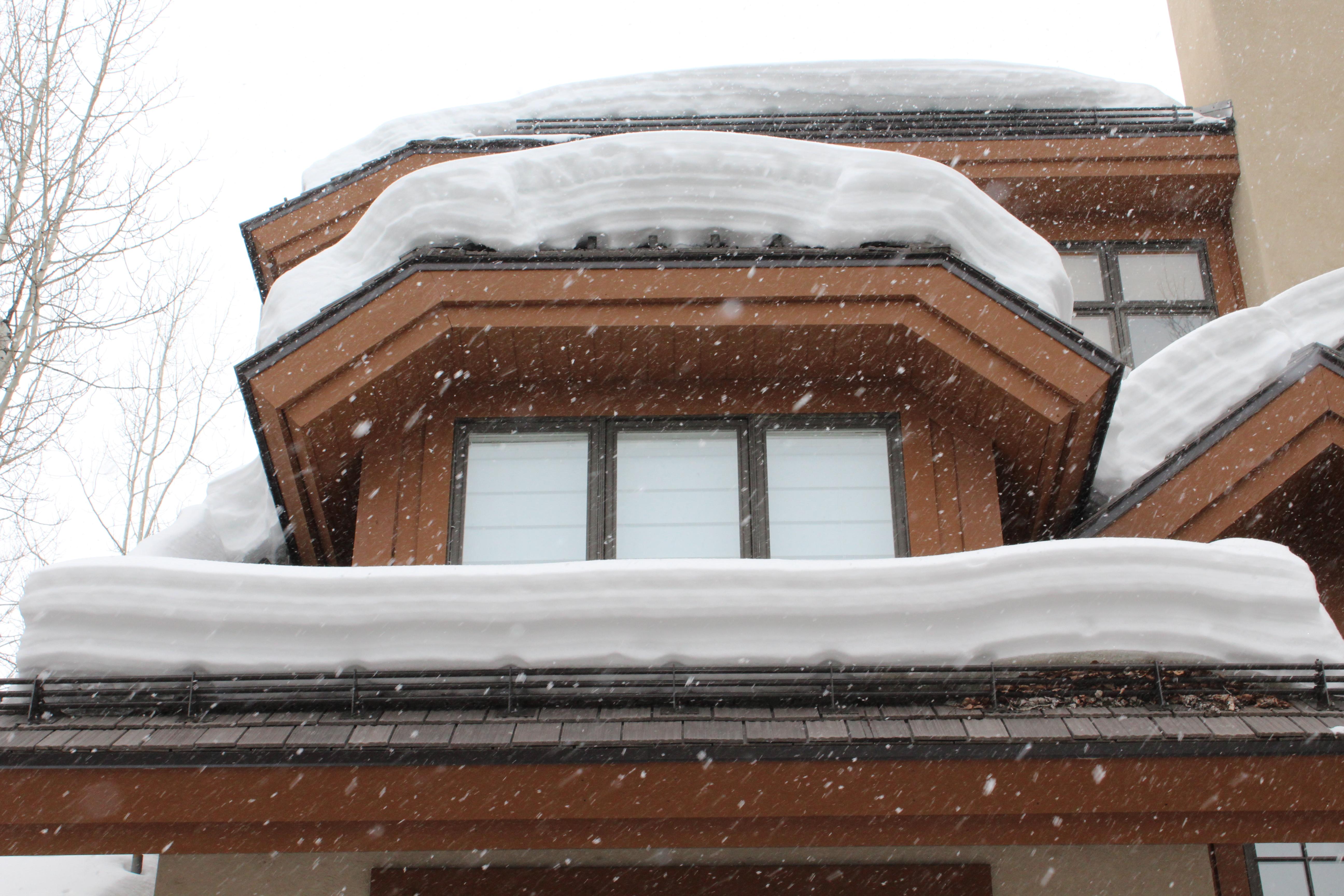 Rocky Mountain Snow Guards