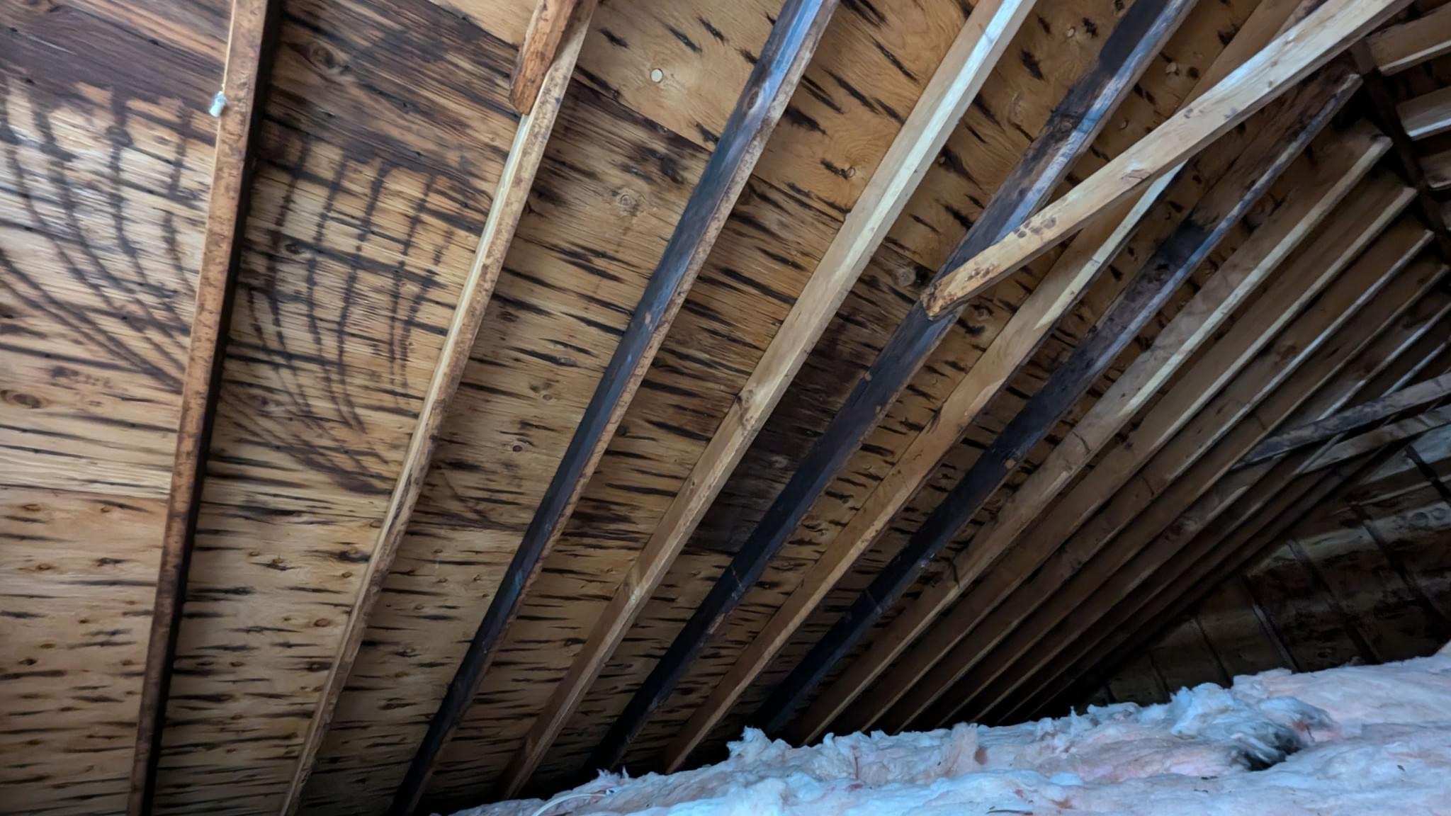 Maven Exteriors of New Jersey