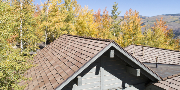 DaVinci - Get your roof ready for autumn