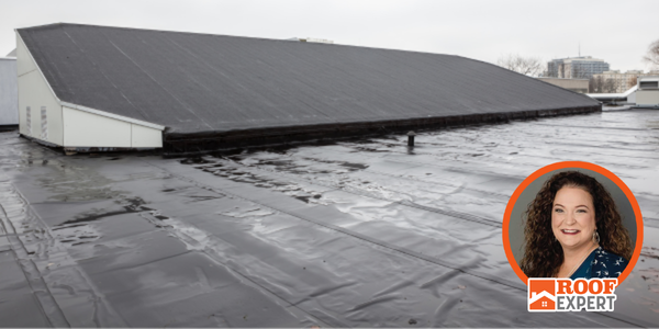 AARE - Wendy Marvin - March - Ponding water on commercial roofs