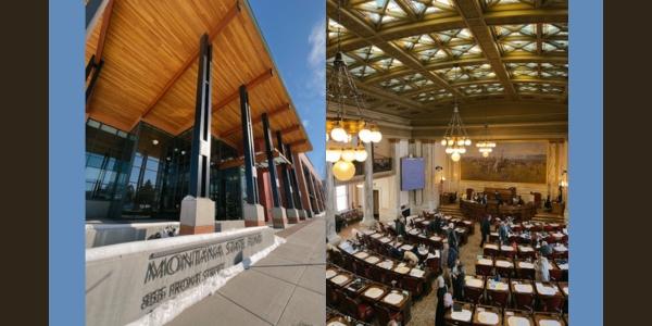 Roofing pros take advocacy to new heights at annual capitol event