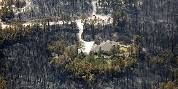 METALCON how metal is shaping building design