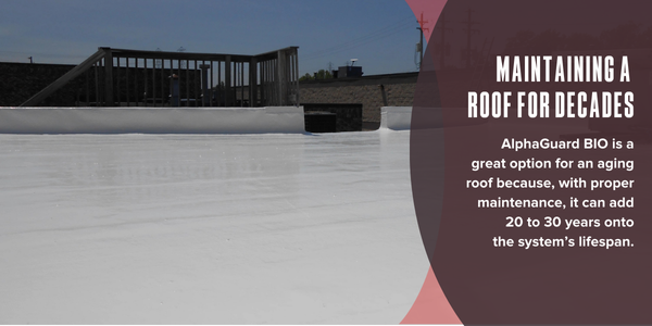 Maintaining a roof for decades