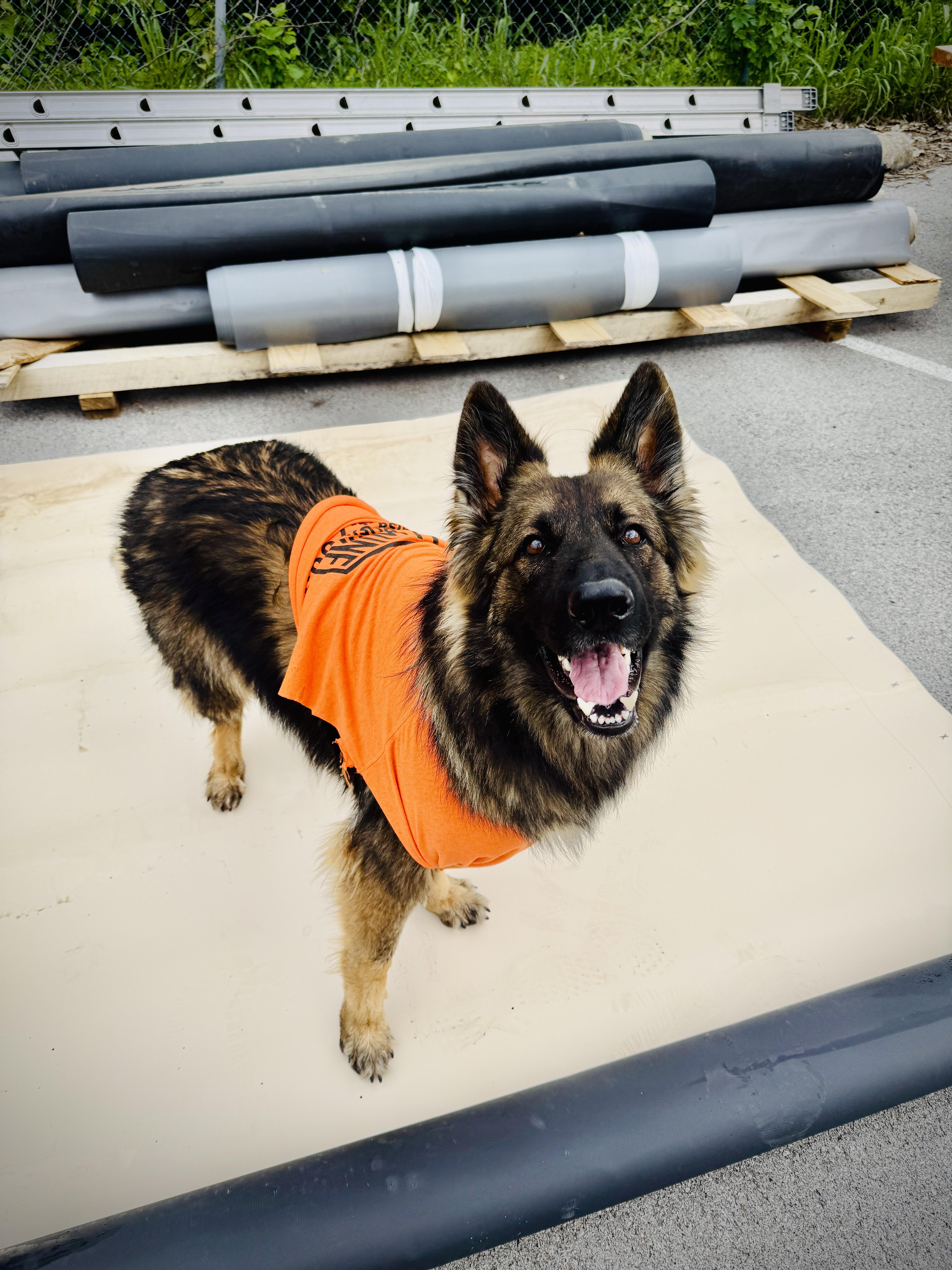 Allwine Roofing of Tulsa, Oklahoma