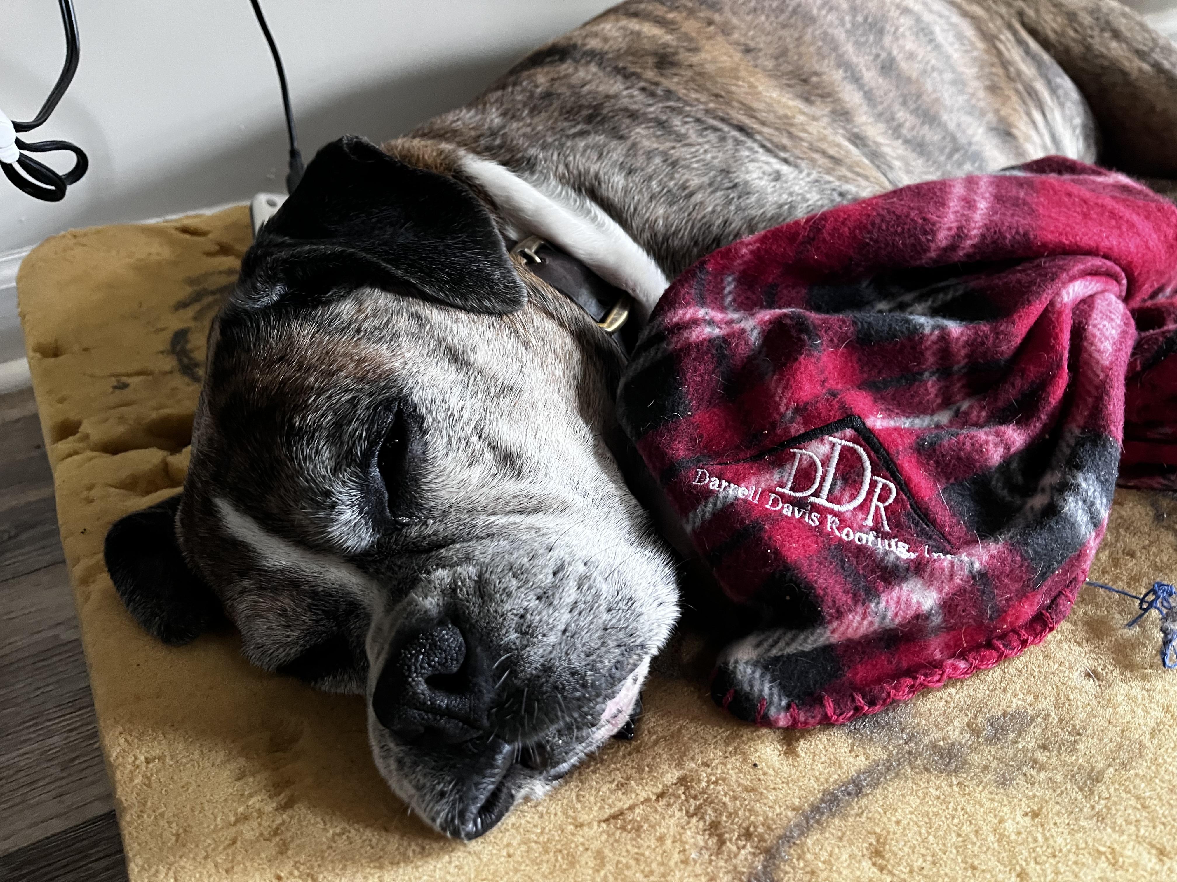 Darrell Davis Roofing INC of Lexington, Tennessee