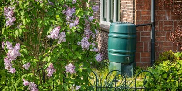 Maximizing catchment systems with safe roofing solutions