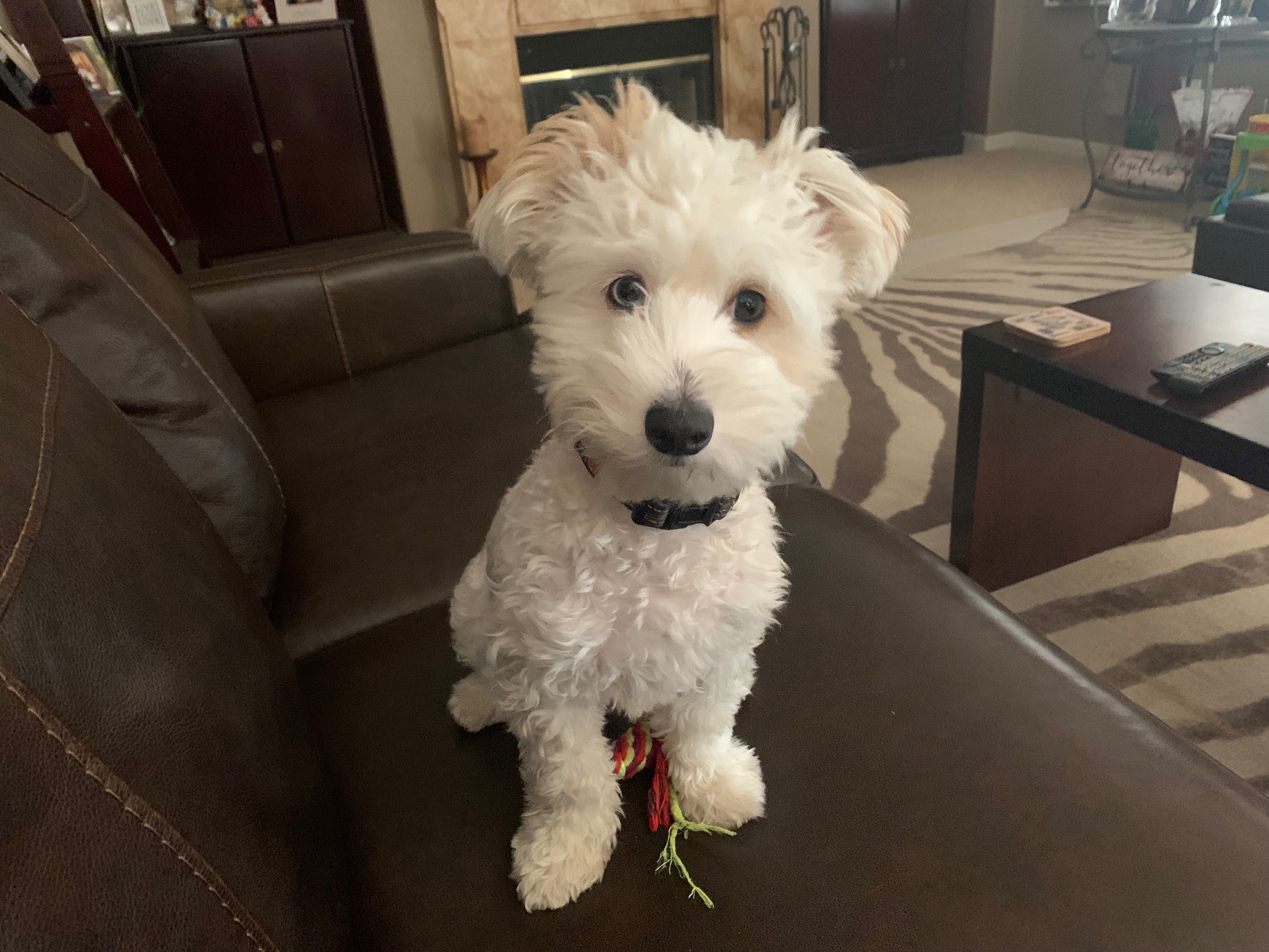 Roofing Contractors Association of California of Sacramento, California