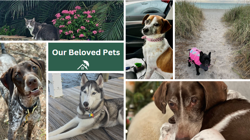 Campany Roofing of West Palm Beach, Florida