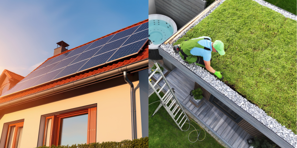 Solar panels or green roofs — why not both?