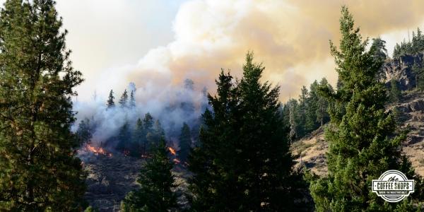 Building back better: Metal’s role in fire-resistant recovery