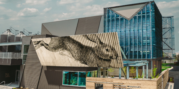 Down the Rabbit Hole of design