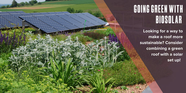 Going green with biosolar