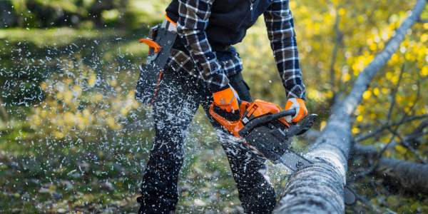 Husqvarna debuts new chainsaw line-up at Equip Expo 2025