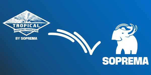 Insights into the 2026 coatings market